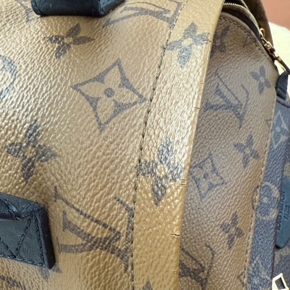 Authentic Louis Vuitton Reverse Monogram Palm Springs Mini Backpack - Picture 10 of 13